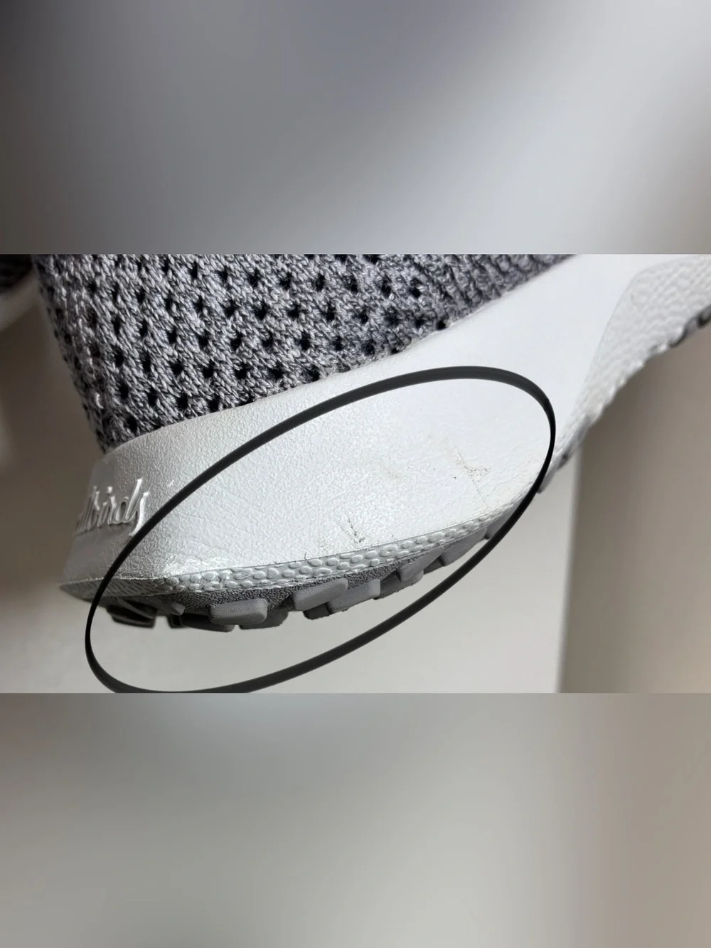 allbirds Dark Gray Wool Sneakers